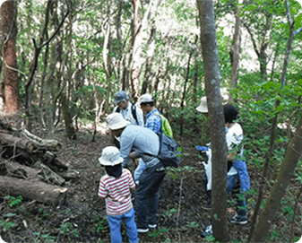 きのこの観察会