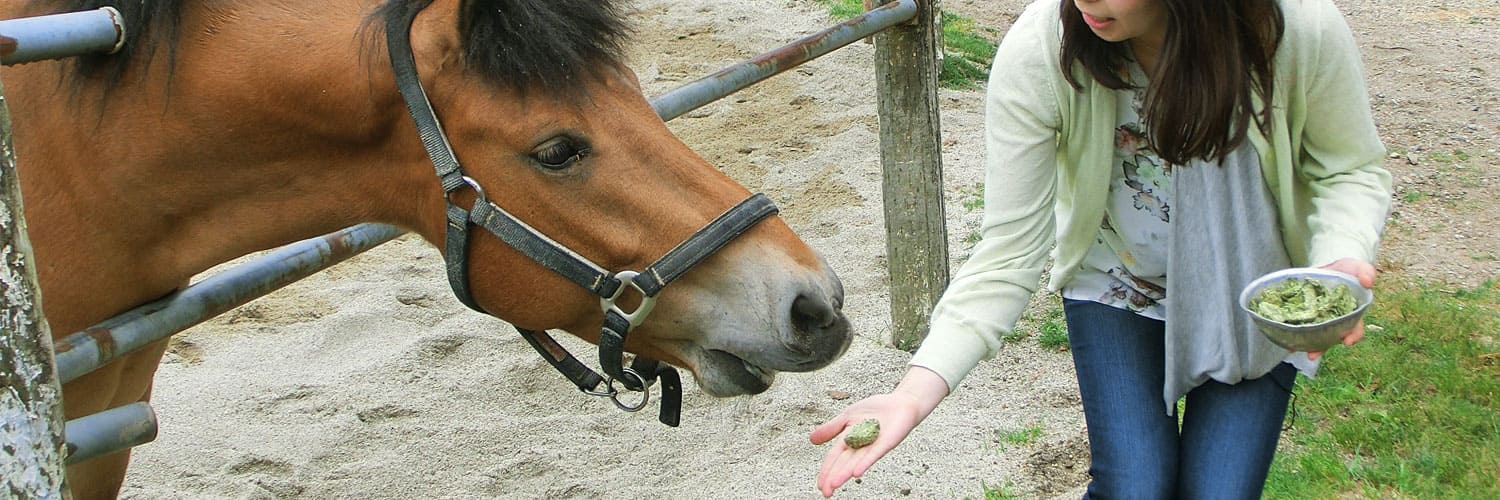 遊ぶ