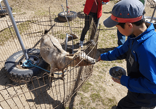 ふれあい動物園