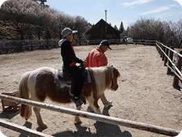 ふれあい動物園