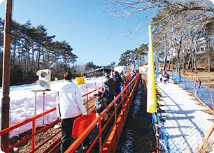 登りは｢動く歩道｣で楽々!!