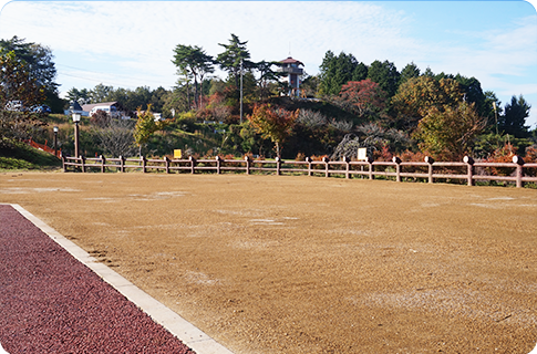 オートキャンプ広場